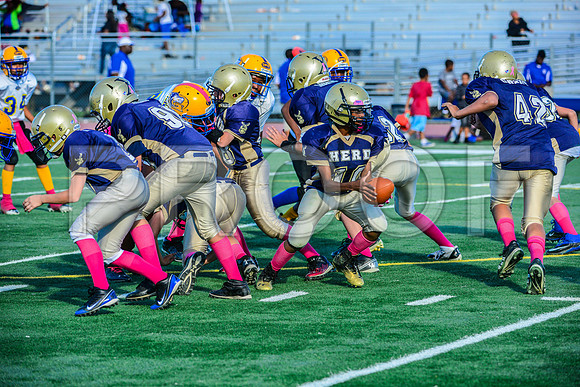 Jr Midgets Elk Grove Herd-146