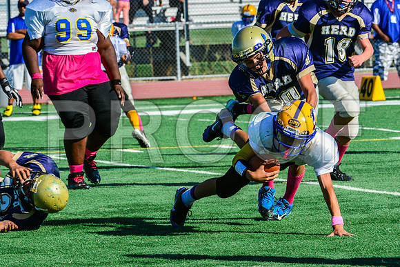 Jr Midgets Elk Grove Herd-93