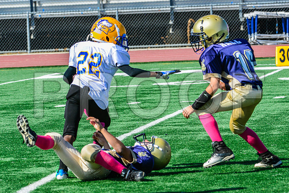 JR PEE WEE Elk Grove Herd-21
