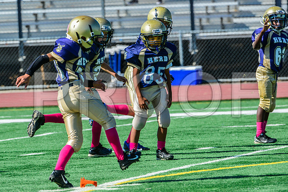 JR PEE WEE Elk Grove Herd-34
