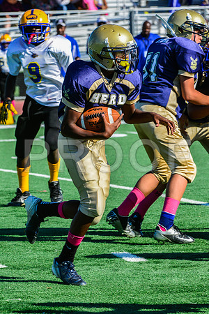 Jr Midgets Elk Grove Herd-28