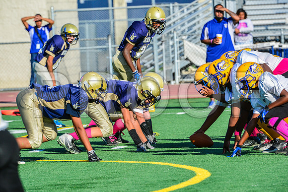 Jr Midgets Elk Grove Herd-119
