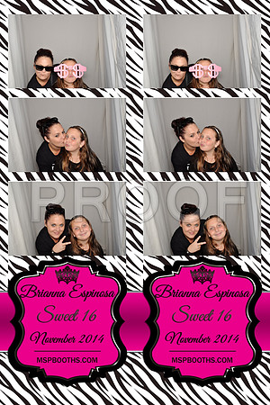 2014-11-8-0012-d